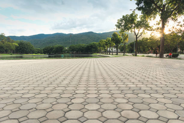 Best Local Driveway Pavers  in Polk City, FL